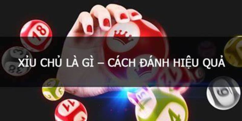 Xỉu chủ miền Bắc